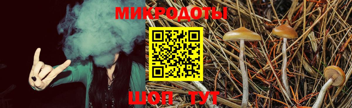 Псилоцибиновые грибы мицелий  Вход с VPN  Карталы  Псилоцибиновые грибы Cubensis 
