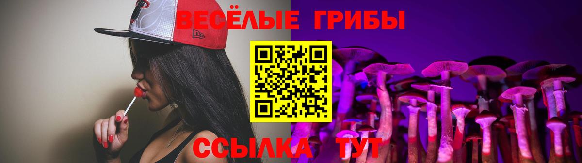 Галлюциногенные грибы GOLDEN TEACHER Карталы